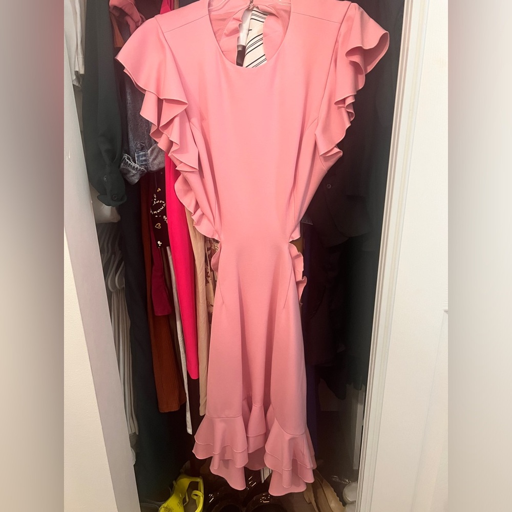 Pink Elliatt dress